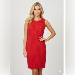 Calvin Klein‎ Womens Sheath Dress size 8